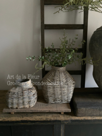 Basis takken 2 x Wilde Asparagus en 3 x mini Eucalyptus