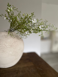 Plastic Corokia met witte bloemetjes Wit 89 cm