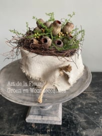 Taartje met Salim , Eucalyptus Bells en Wilde Asparagus 15 cm