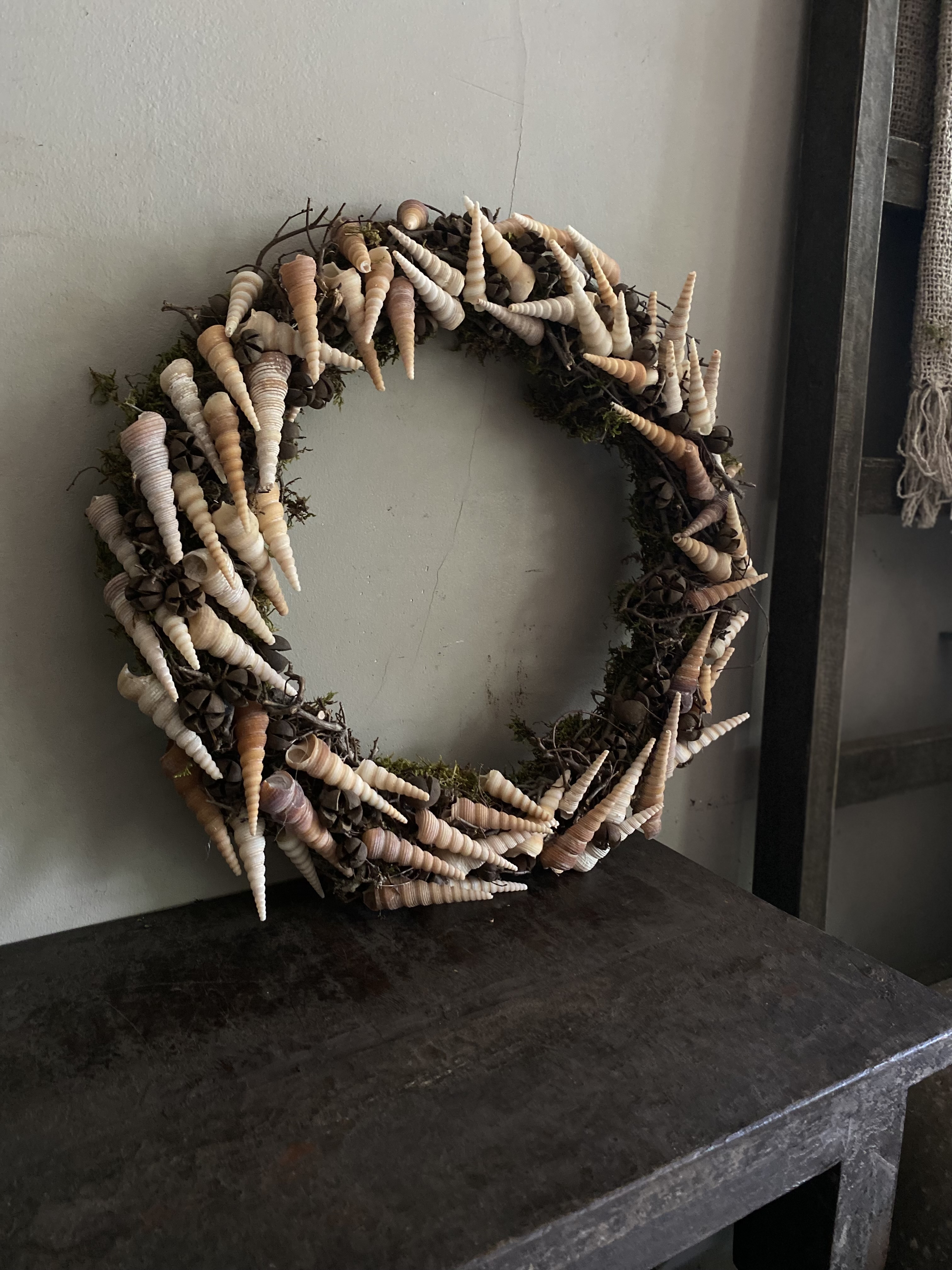Ring met mos Bonsai en schelpen ong 40 cm