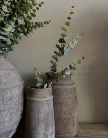 Eucalyptus Green 81 cm
