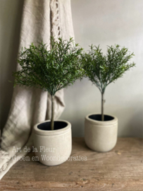 Plant | kunst Rozemarijn op stam excl pot 52 cm hoog