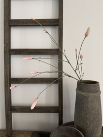 Pimpernel heel zacht roze 86 cm ingetogen