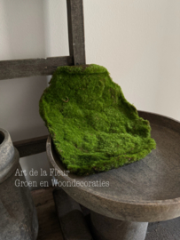 Mos | Set van drie lappen mos S , M en L