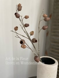 Eucalyptus Bells bruin 86 cm
