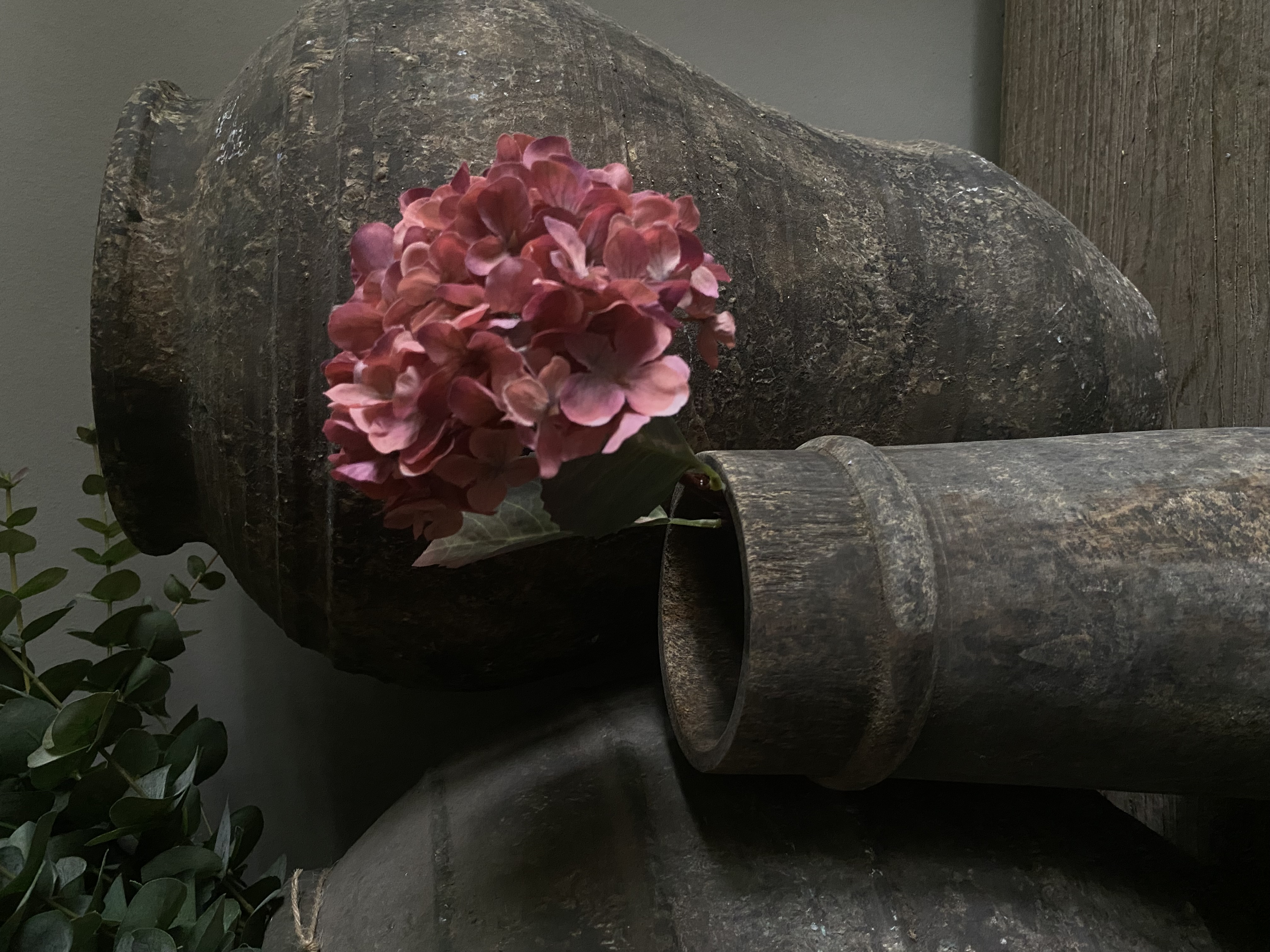 Hortensia 40 cm