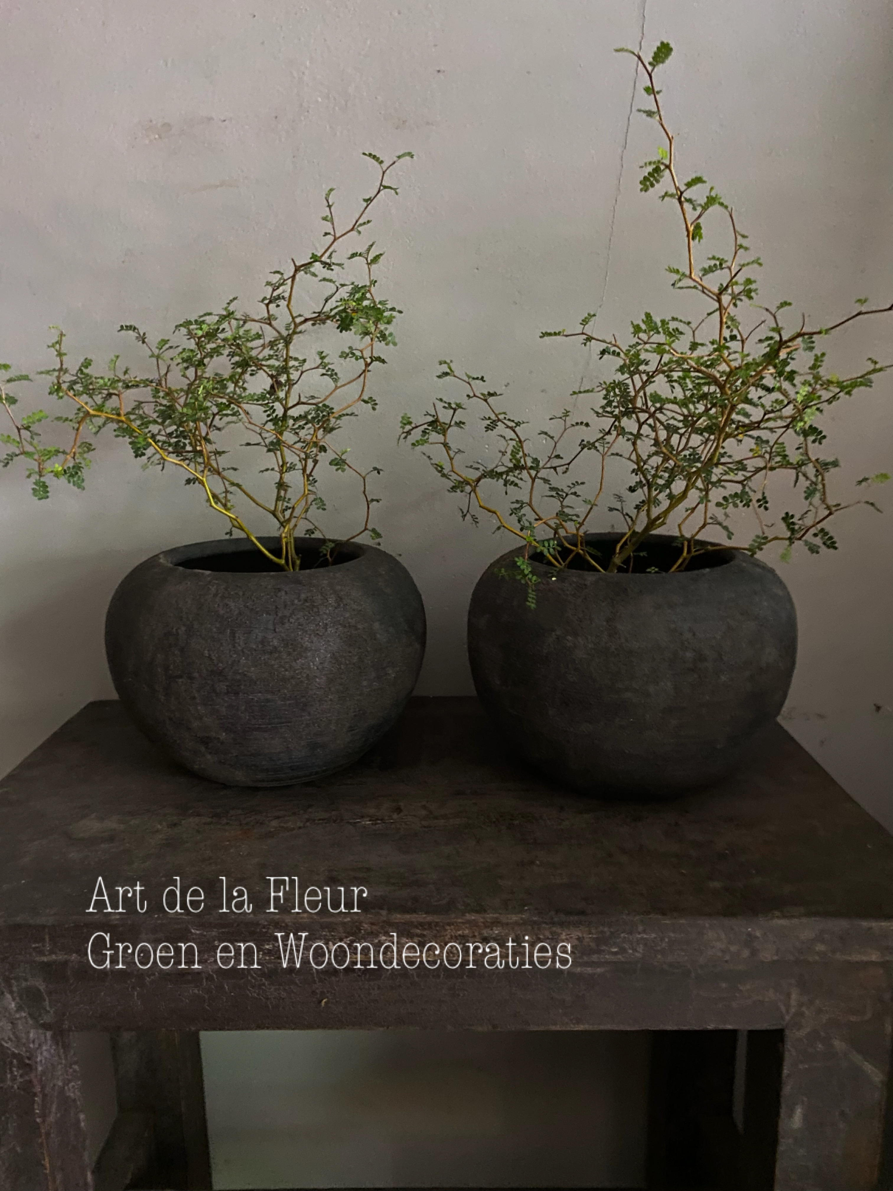 Potten , kruiken en schalen 