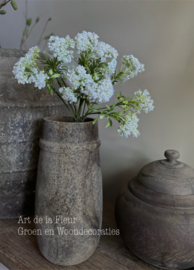 Bundel veldbloemen wit