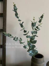 Kunst tak Eucalyptus PTMD