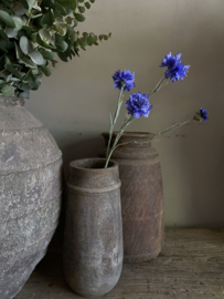 Korenbloem blauw 61 cm