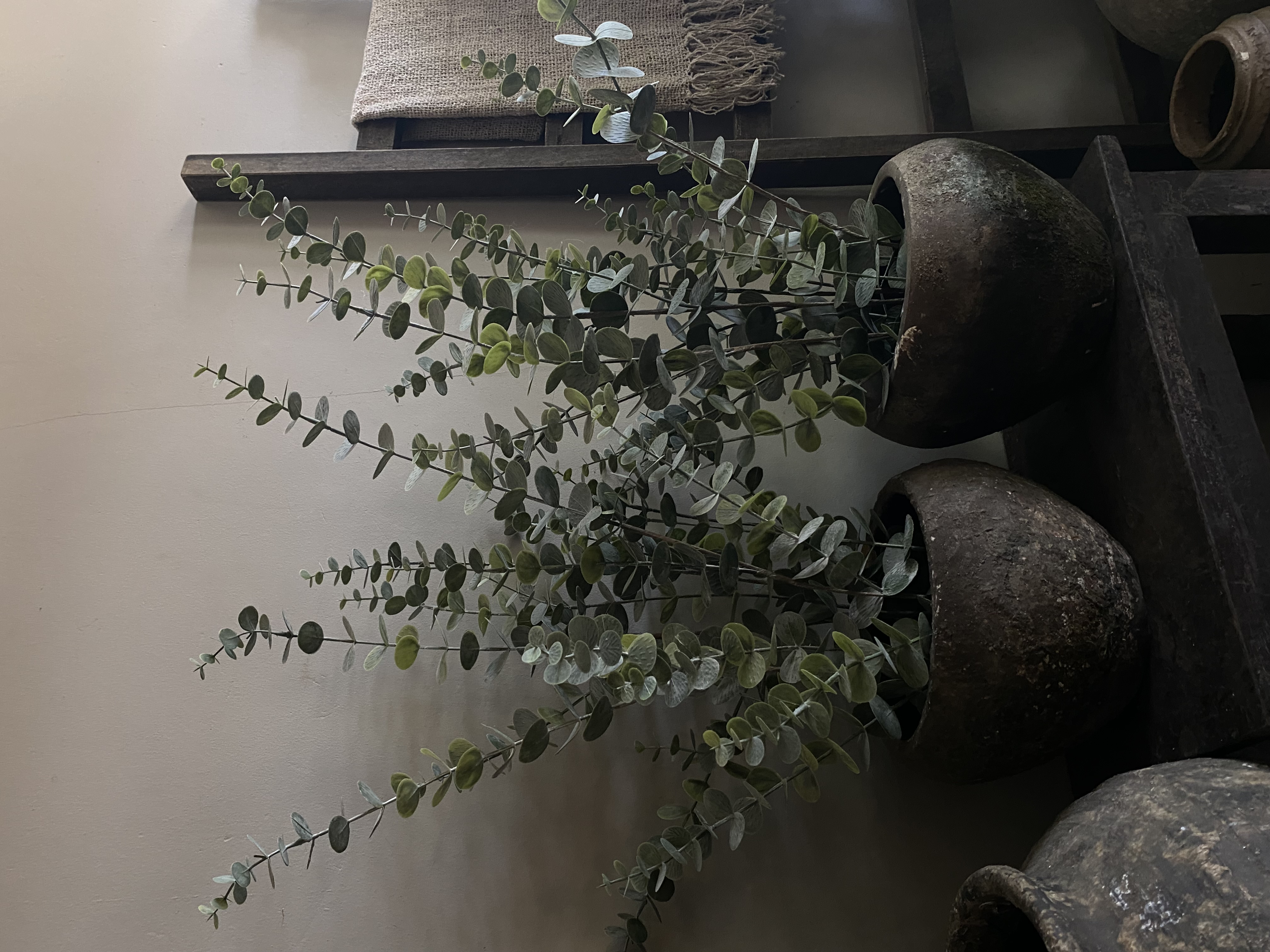 Kunst plant Eucalyptus 76 cm