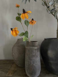 Rudbeckia 83 cm