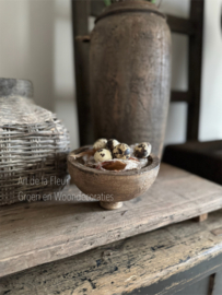 Landelijke pot met Gagel en Tulpen incl deksel en decoratie