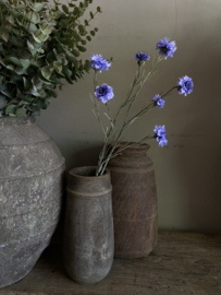 Korenbloem licht blauw 89 cm