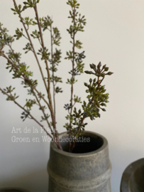Kunsttak Eucalyptus bes zonder blad 92 cm
