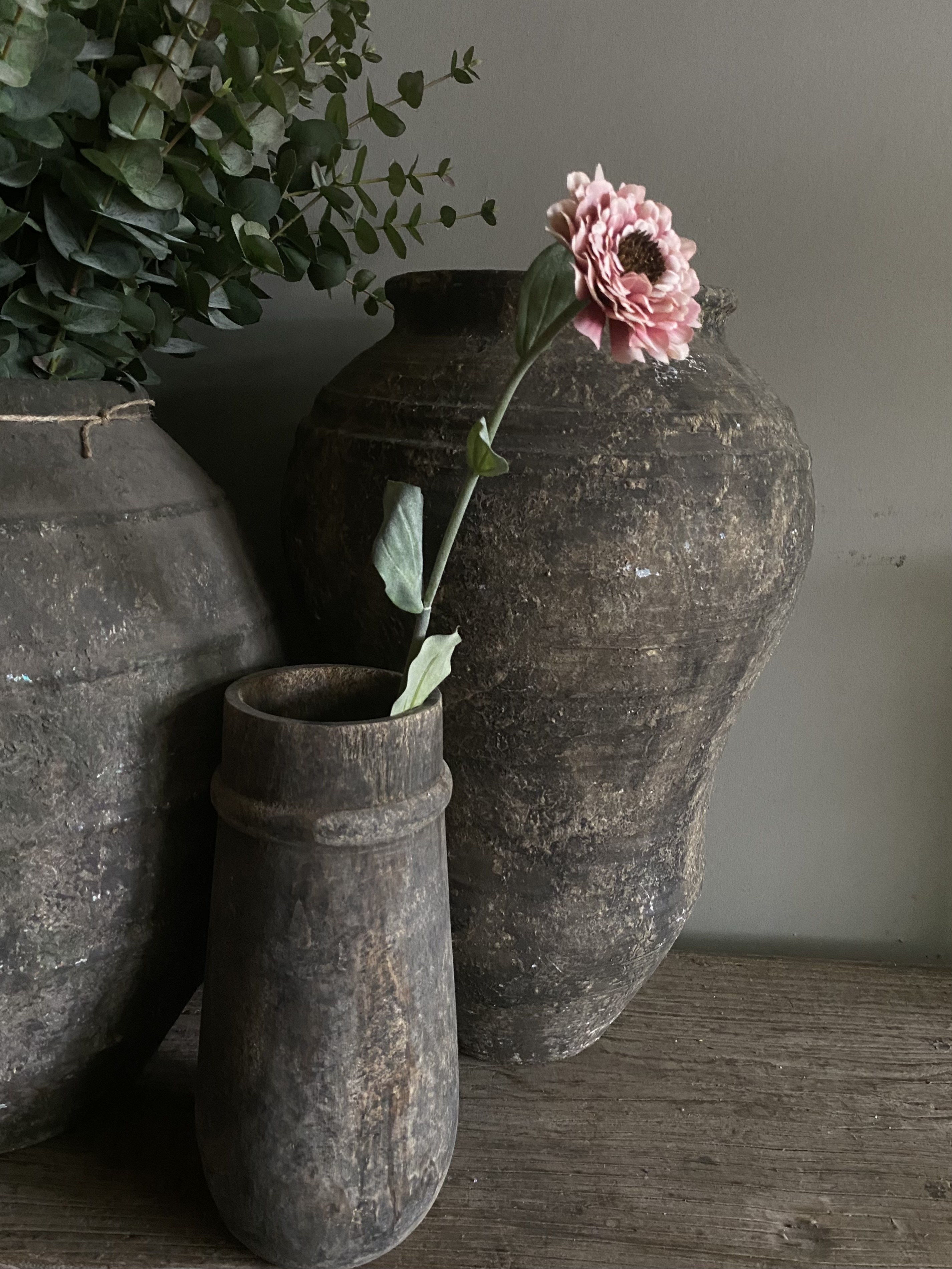 Zinnia roze 43 cm