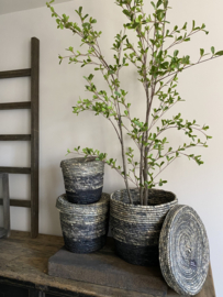 Nest van drie manden met deksel