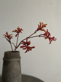 Kangoeroe pootje steel donker Oranje  ruig  71 cm