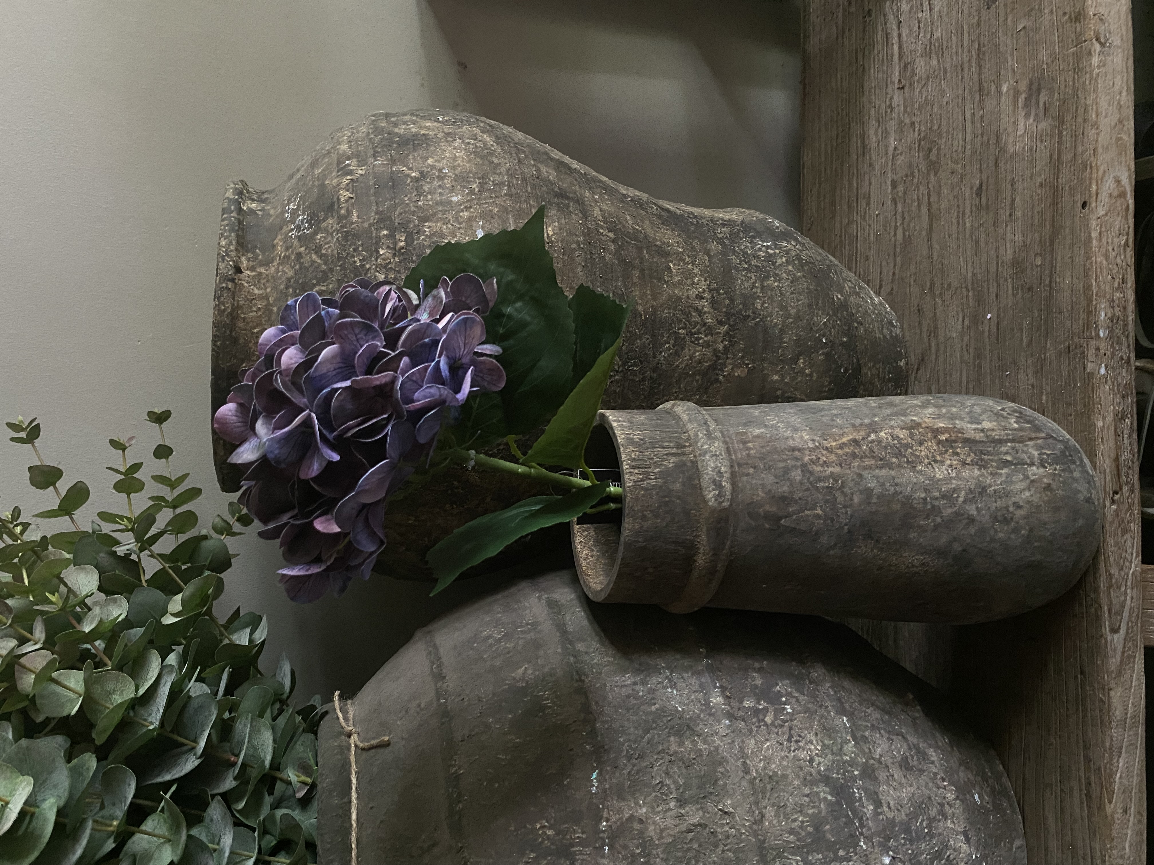 Hortensia Paars 65 cm