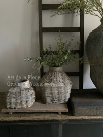 Basis takken 2 x Wilde Asparagus en 3 x mini Eucalyptus