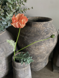 Klaproos met knop Koraal 74 cm