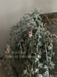 Kunst tak Cedrus met dennenappeltjes 92 cm