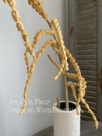 Amaranthus Hanging Spray Brown 104 cm