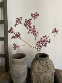 Fluitenkruid 13 bloemen  fuchsia 90 cm