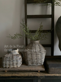 Wilde Asparagus 73 cm Kunst 3 vertakkingen ingetogen mat groen