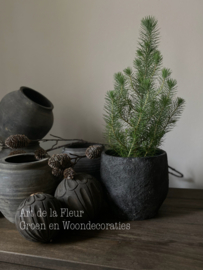 Pinus Silvercrest S incl pot ruw zwart 16 x 17