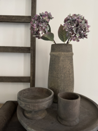 Hortensia Alletta 14 x 14 x 40 purper gemêleerd