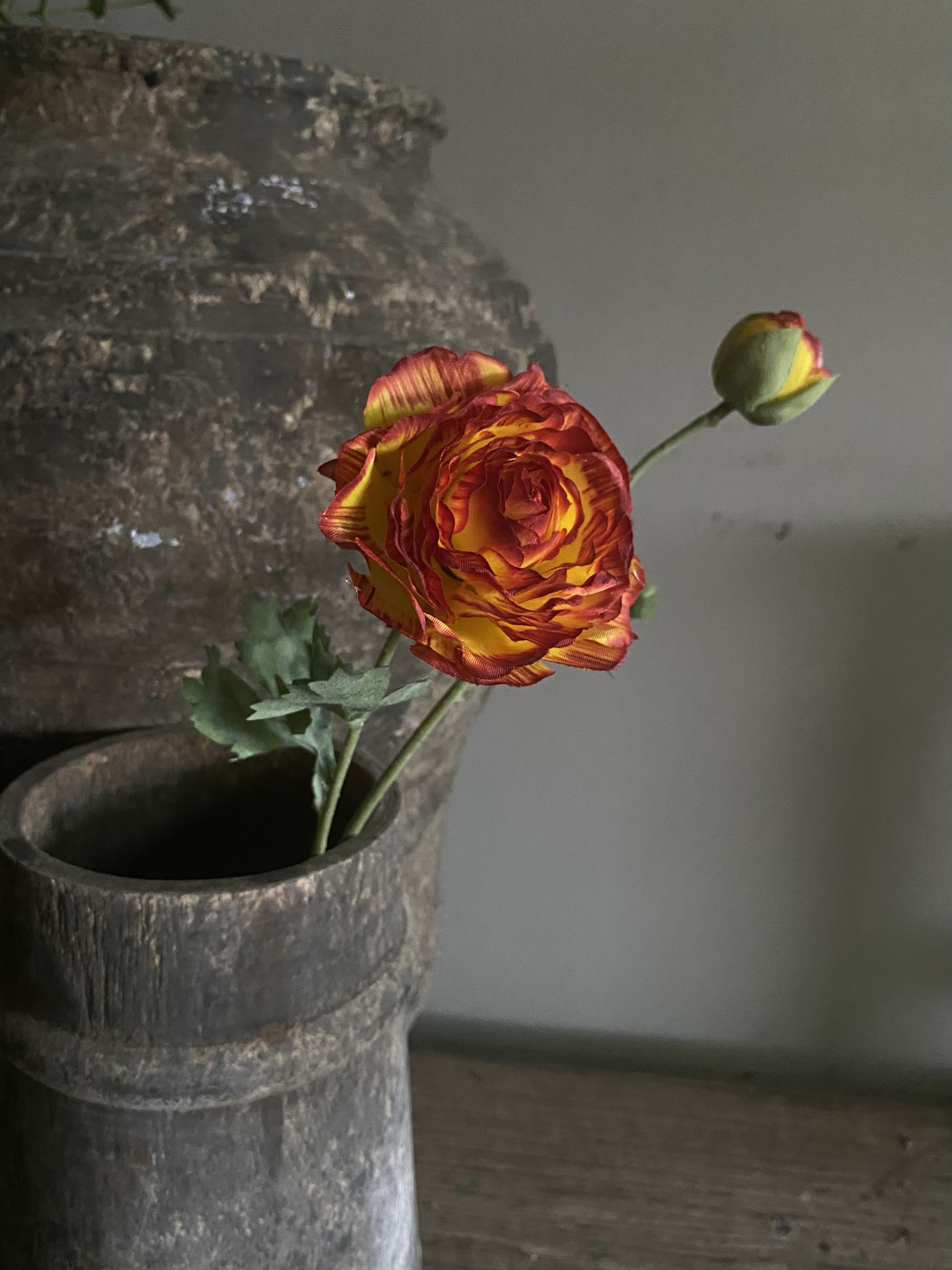 Ranonkel Geel | Rood lijkt Oranje
