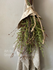 Toef | met kunst Asparagus groen , Tillia en echte Berk ong 55 a 60 cm