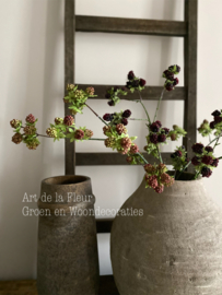 Mulberry Bramen gemêleerd  78 cm