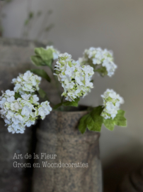 Steker mini Hortensia wit