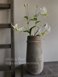 Gloriosa  Wit 86 cm