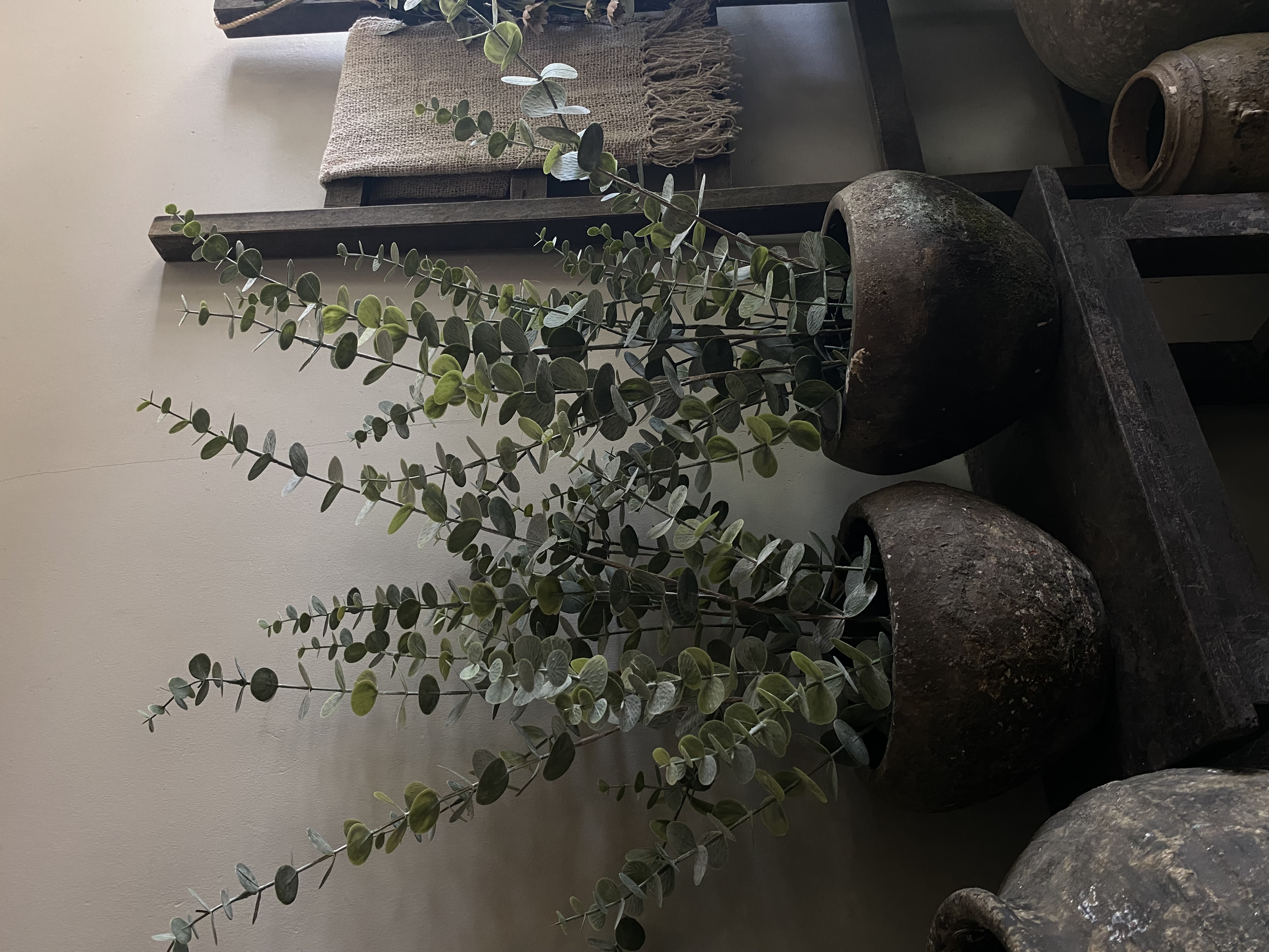 Kunst plant Eucalyptus 76 cm
