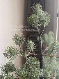 Pinus boom in jute zak groen | grijs iced 72 cm