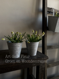 Nieuw ! Zinken potje 12 x 12
