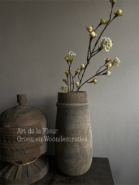 Esdoorn fruittak M wit 55 cm