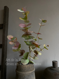 Eucalyptus Spray herfst 86 cm