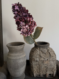 Hortensia Paniculata 82 cm licht gedroogde uitstraling