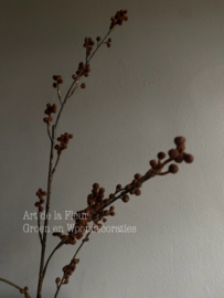 Plum Berry 110 cm ( zeer mooi ) roest kleurig