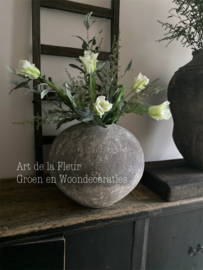 Luchtig kunst boeket met vijf witte papegaai Tulpen