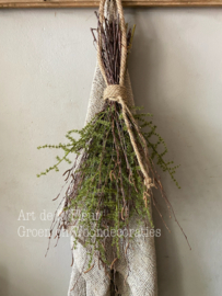 Toef | met kunst Asparagus groen en echte Berk ong 55 a 60 cm