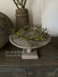 Houten plateau excl kunst Bonsai kransje
