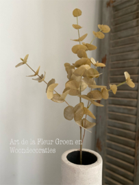 Eucalyptus zand | Beige  87cm