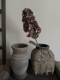 Hortensia Paniculata 82 cm licht gedroogde uitstraling
