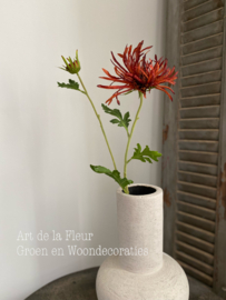 Spin Chrysant diep Oranje 72cm 1 knop , 1 bloem
