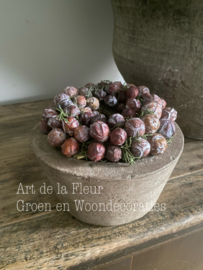 Cypresse mini kransje 18 a 19 cm gedroogd